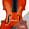 violin link